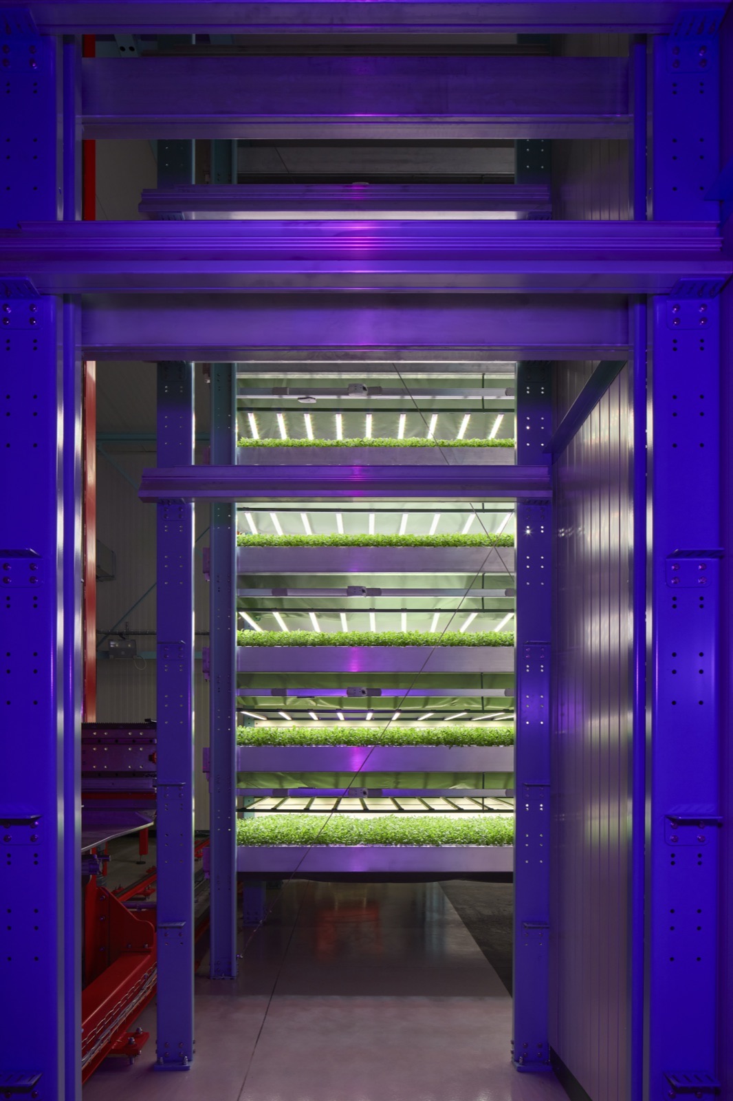 LED vertical-farm cultivation racks.