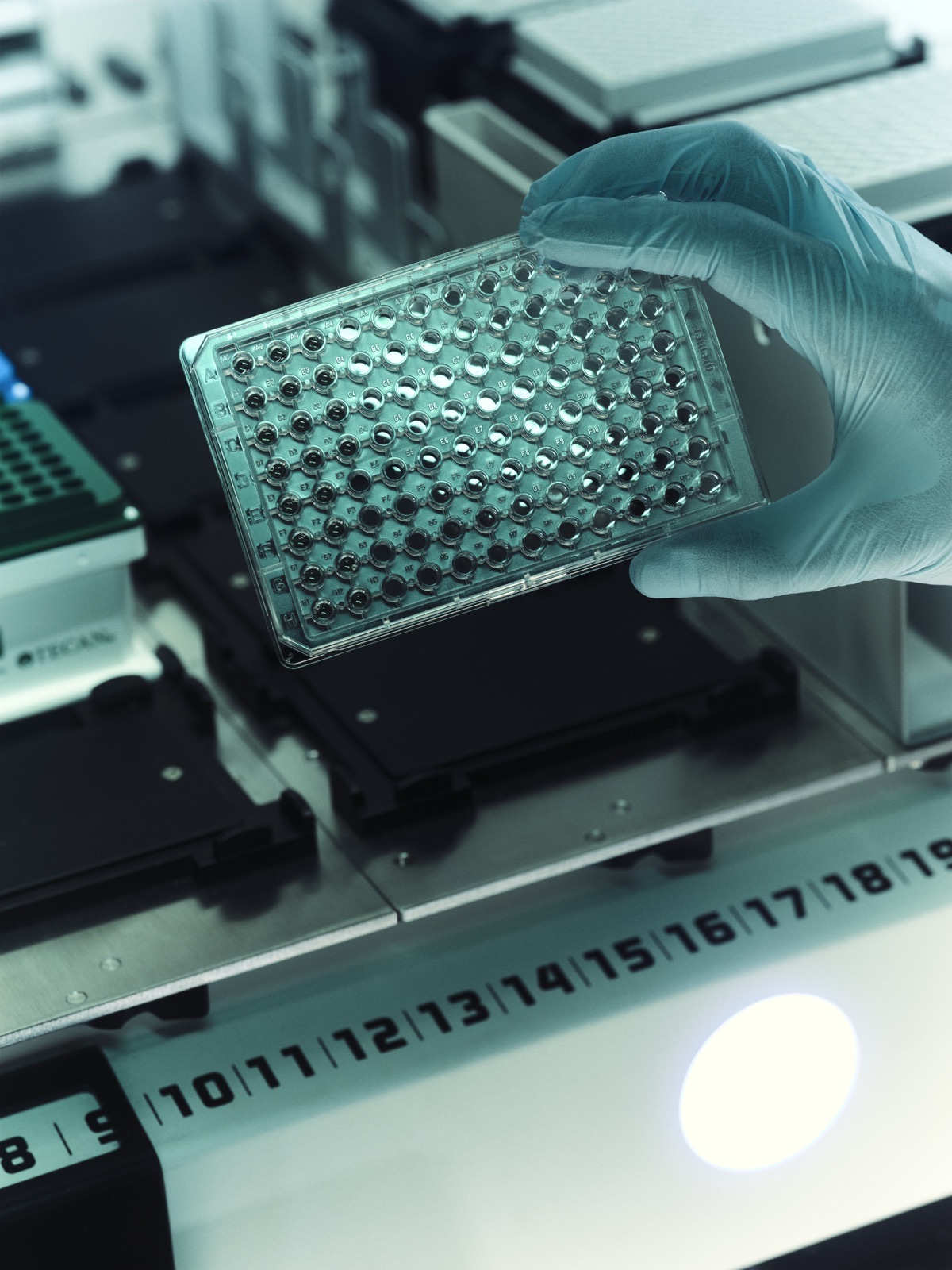 96-well microplate.