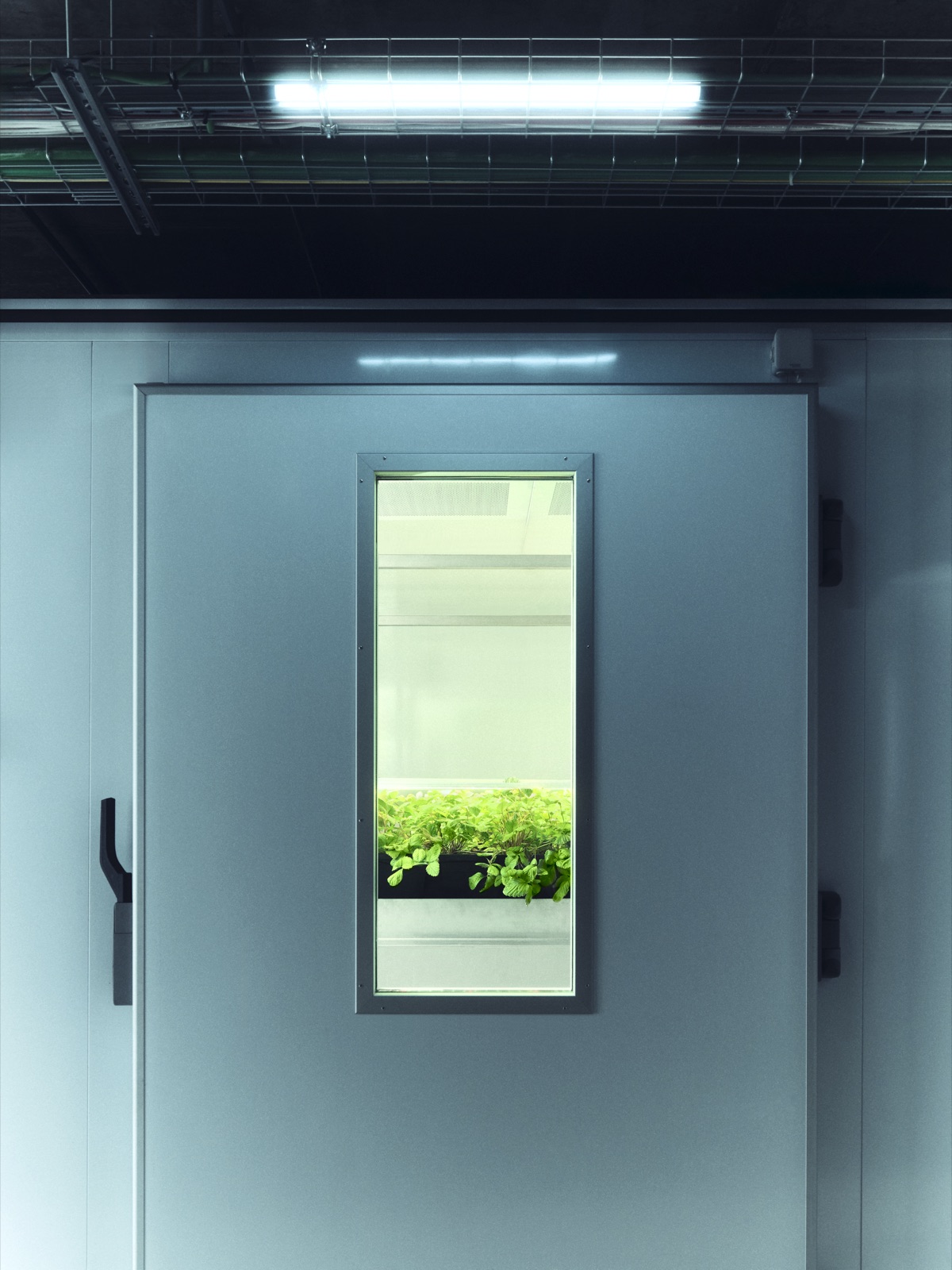 Sealed growth-chamber door.
