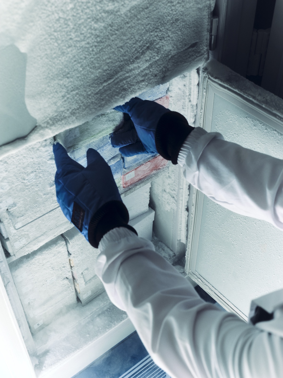 Cryogenic freezing, gloved hands.