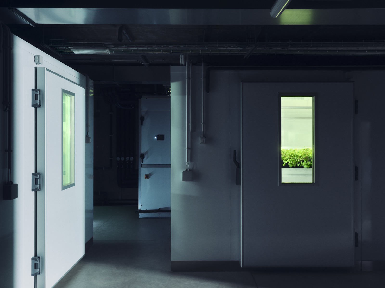 Growth-chamber doors, green glow.
