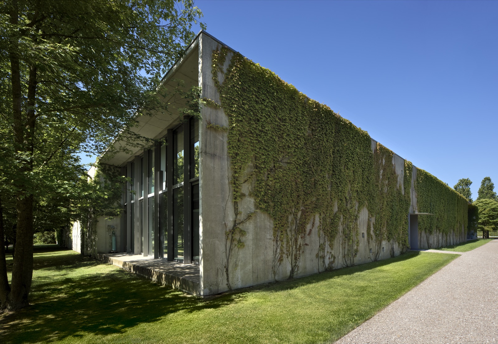 The green facade